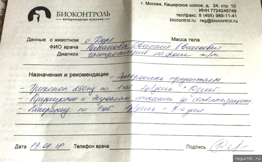 Москва, Дейзи, сука 15.03.2013  - Страница 28 36mm