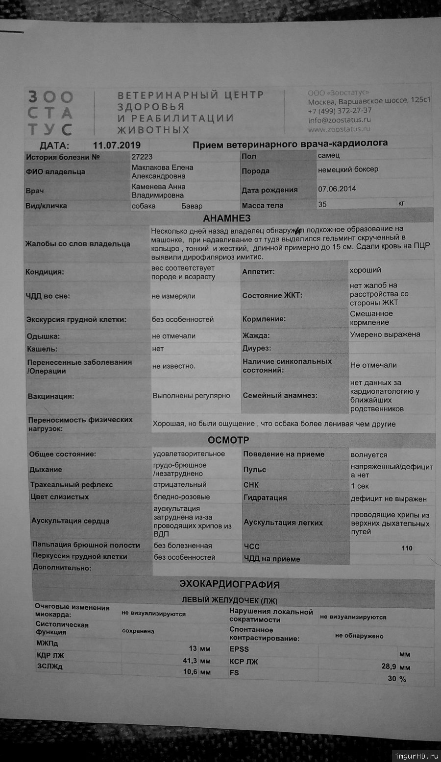 Москва, Бавар, кобель 2.06.2015 - Страница 6 4s56