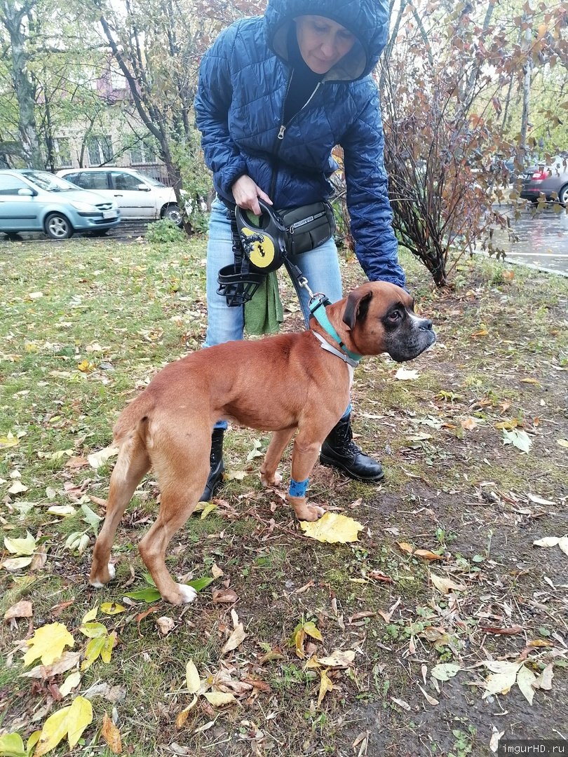 https://imgurhd.ru/i/9e0y.jpg